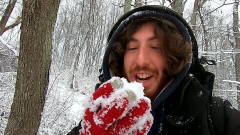 SNOW DAY! hiking with my dog Oscar