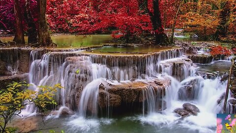 Relaxing by the Stream