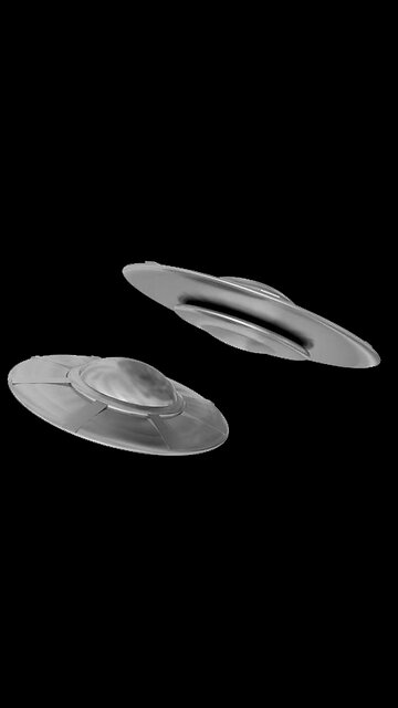 REAL DISCLOSURE EVREYNIGHT