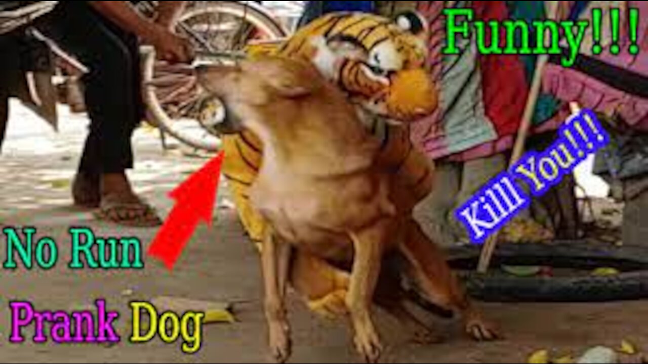 Wow Must Watch_Fake Tiger Prank Dog So Funny Comedy Video 2021