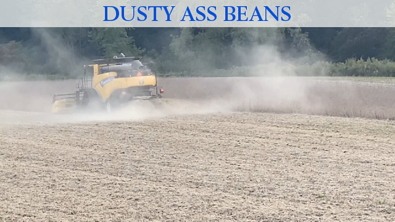 Dusty Ass Beans