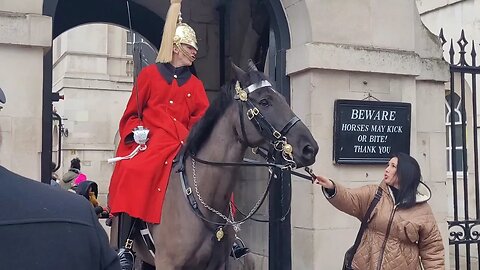 First tourist was warned second tourist he showed no mercy LET GO OF THE REINS #horseguardsparade