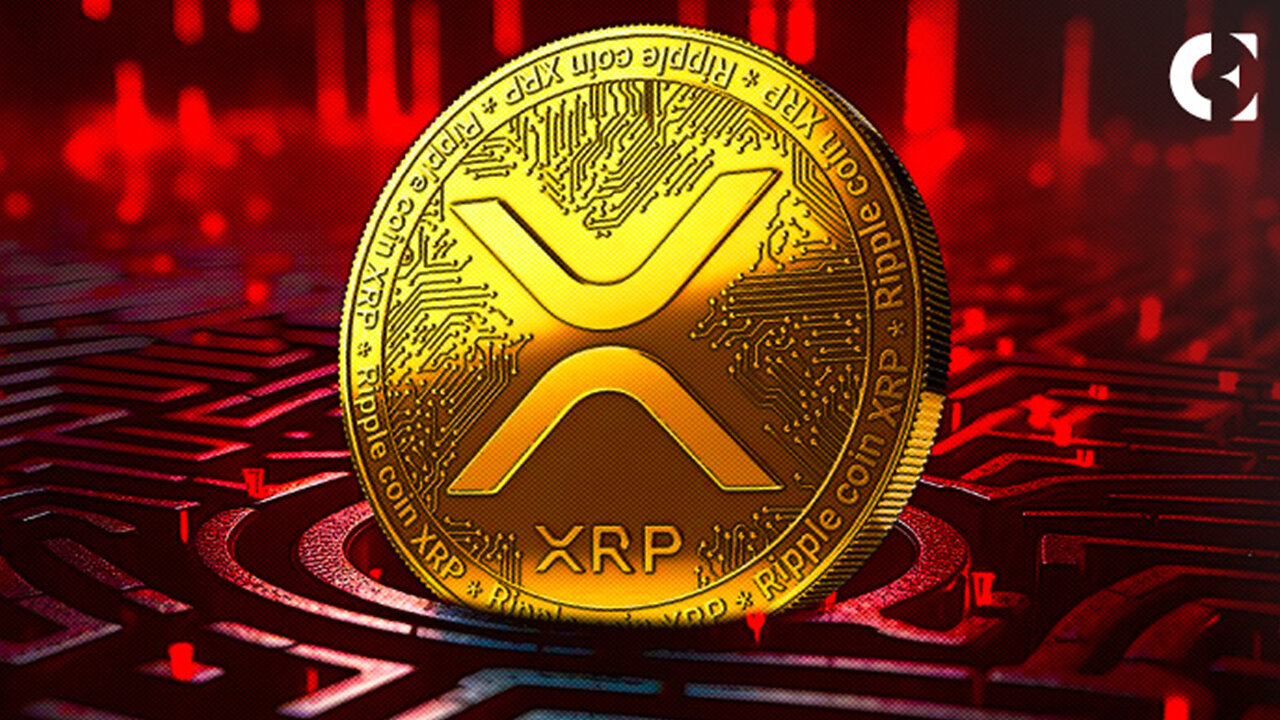 XRP RIPPLE THEY ARE BANNING EVERYONE !!!!!!!!