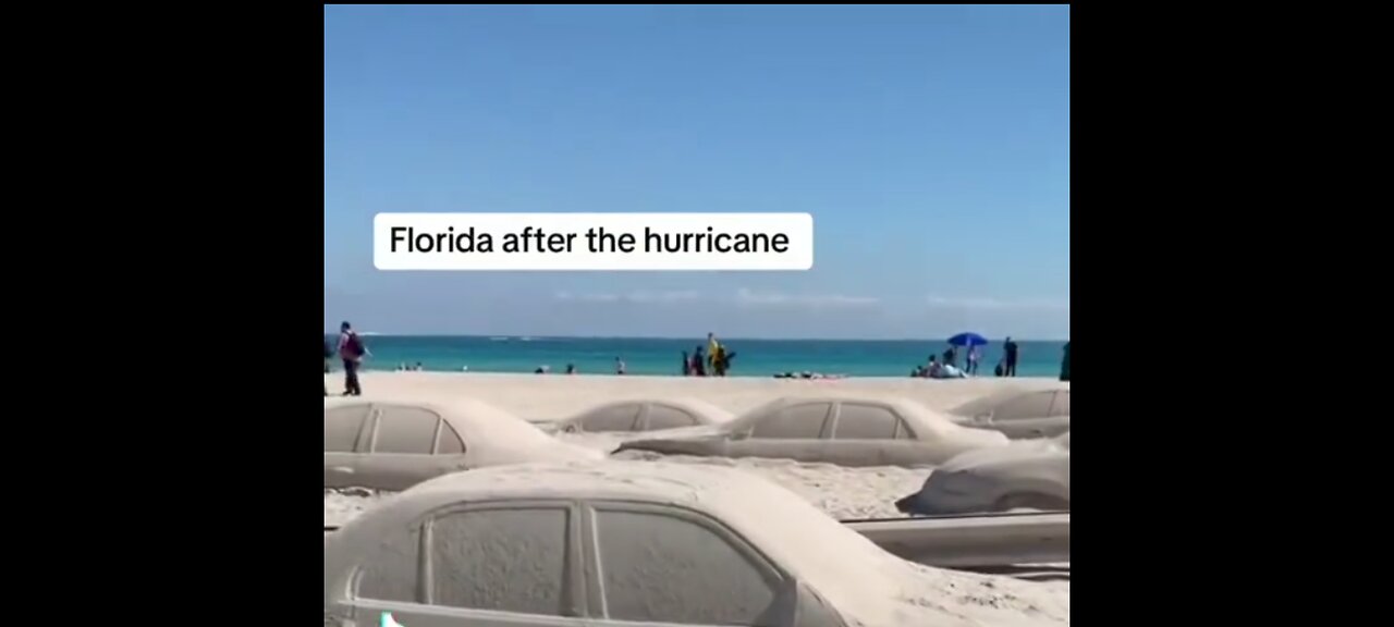 MEANWHILE IN FLORIDA