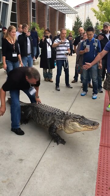 Only in 😂😂😂