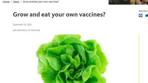 MRNA Vaccines in your Vegetables! TRUE!!!