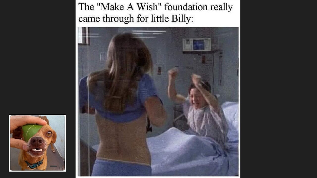 Memes That Will 99.804% Make You Laugh. (e29)