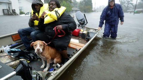 Volunteer Groups Assist In Florence Rescue Missions