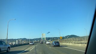 Driving in Oregon