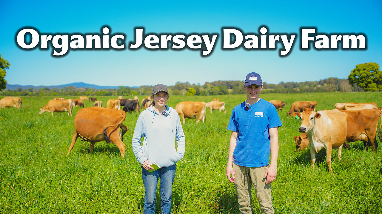 This 20-Year-Old Started an Organic Non-Homogenised Jersey Cow Farm