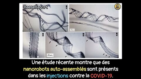 Une étuDes nanorobots auto-assemblés présents dans les injections COVID-19.