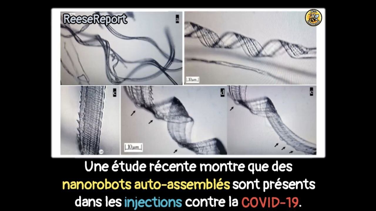 Une étuDes nanorobots auto-assemblés présents dans les injections COVID-19.