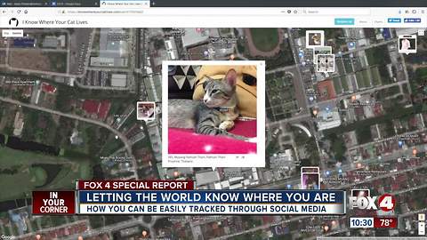 Invasion of Privacy: We found your home address through photos of your cat