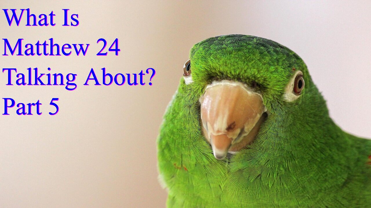 What Is Matthew 24 Talking About? Part 5