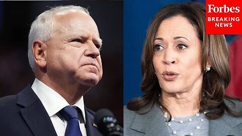 Why VP Kamala Harris Picking Tim Walz 'Makes Me Question Her Judgment': Michelle Fischbach