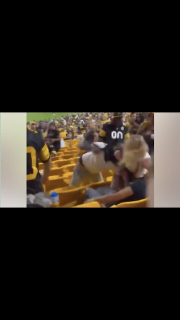 Man and Woman Throw Punches in Stands in Wild Alteraction
