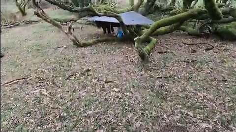 ridgeline is set up for the tarp POV GOPRO 22nd March 2023