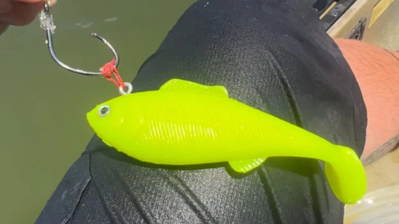 A Texas Tarpon Lure Set Up Im Developing SHAD POP