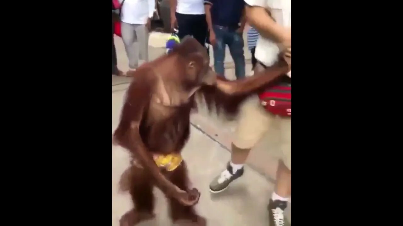 These Nuts