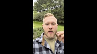 Davidoff Cigarillo - Fastest Review Ever ❗️❗️