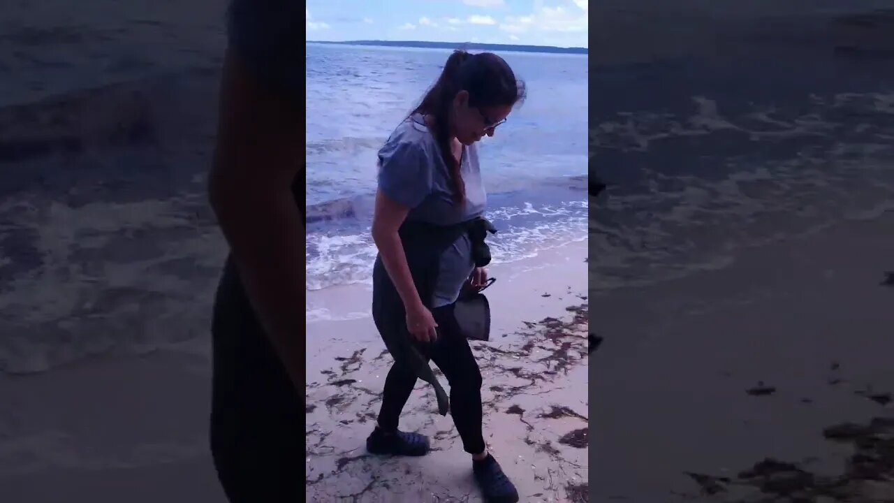 LO ENCONTRÉ en una playa en CUBA! #shorts #shortsvideo #cuba