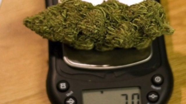 Why are people in Palm Beach Co., WPB charged with pot possession despite ordinance?