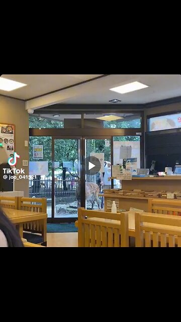 It wants to enter a store but is refused entry. This is actually a very unique moment!