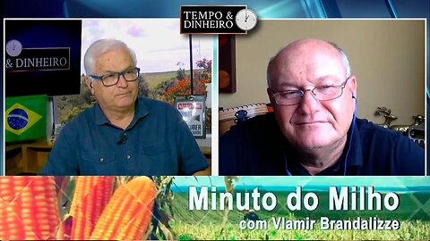 Milho chegando e abastecendo indústria.