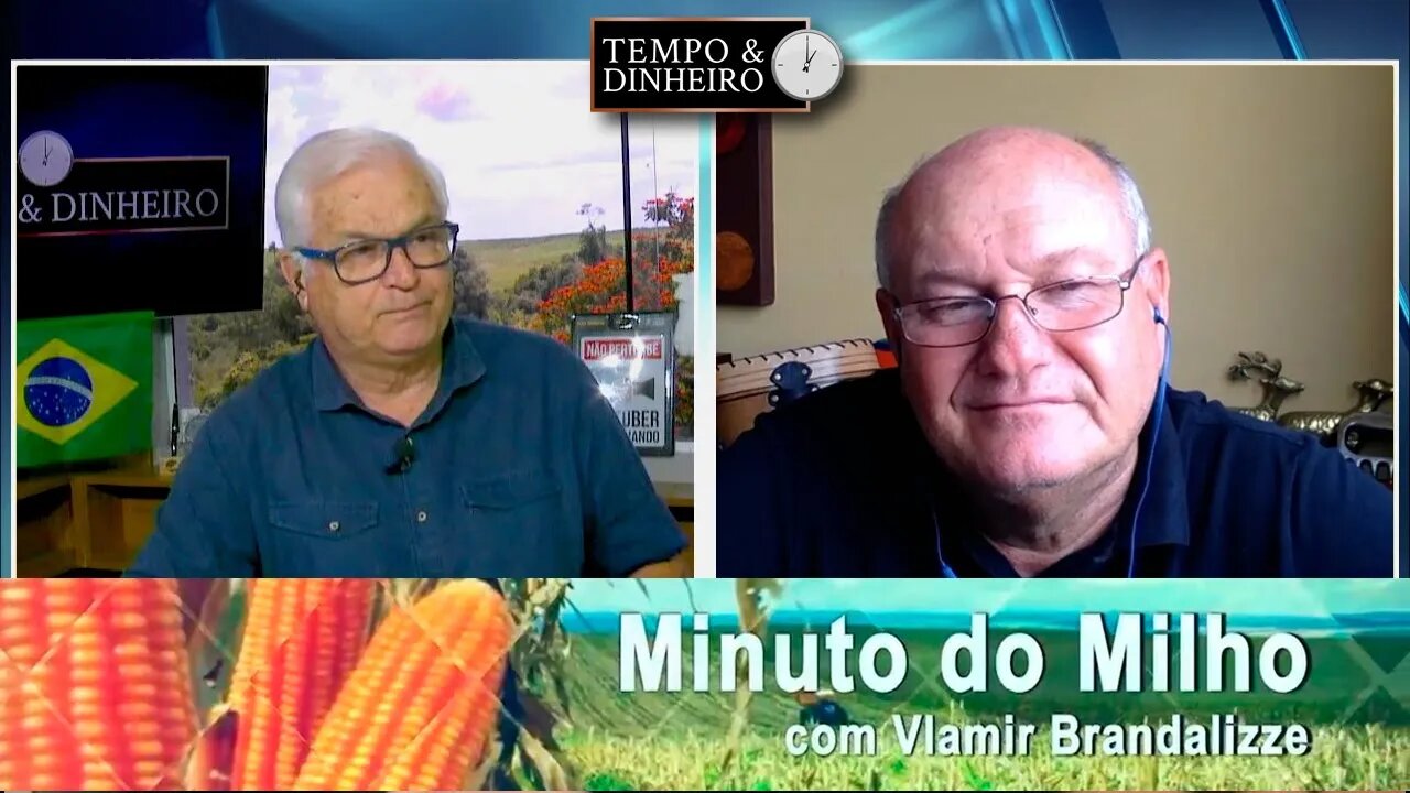 Milho chegando e abastecendo indústria.
