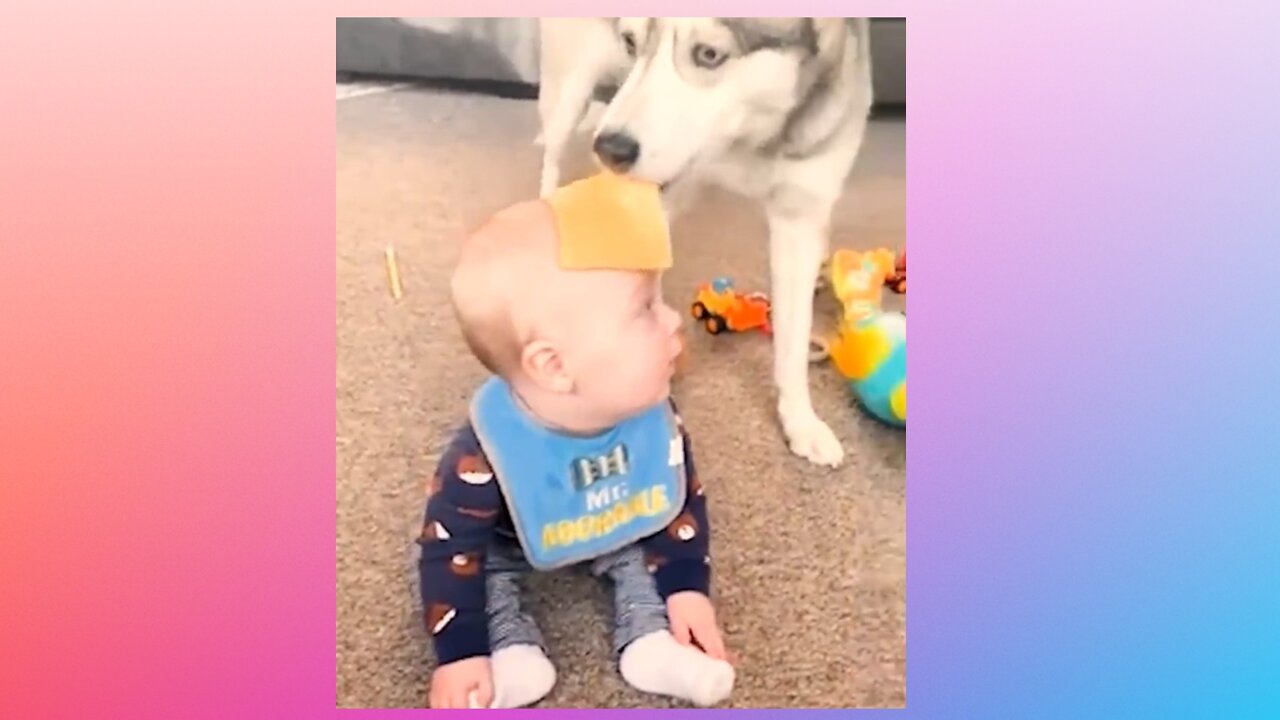 Best Funny Videos | Best Funny Fails | 2022 🤣