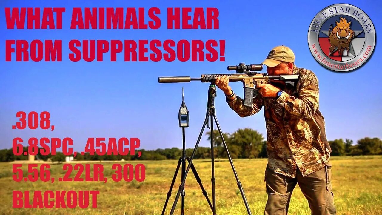 WHAT ANIMALS HEAR FROM SUPPRESED RIFLES PART II