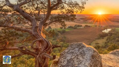 Relaxing Music for Stress Relief. Relax, Healing Therapy, Spa, Calm Music for Meditation, Sleep