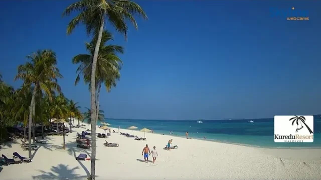 2616 Days Left For The Planet