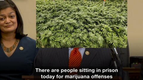 U.S. Rep. Jerry Nadler (D-NY) Diarrhea & Acapulco Gold