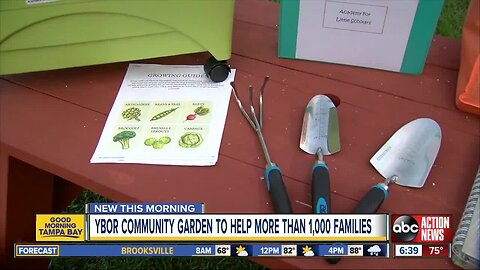 Community Garden to provide garden starter kits to Ybor City families