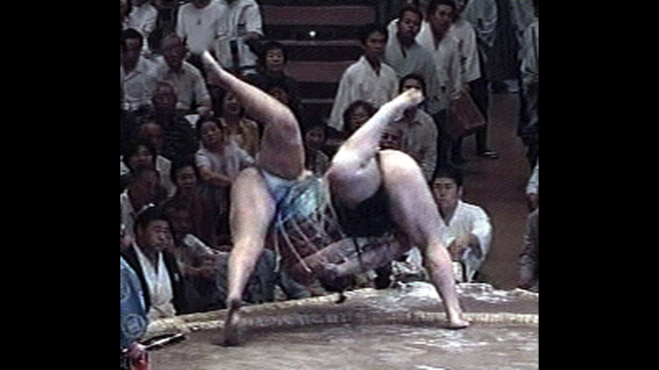 Day 10 Kyushu basho 2024