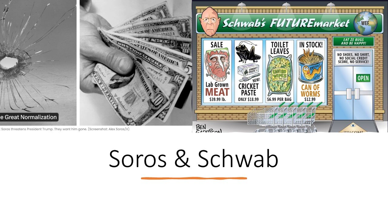 Soros and Schwabb