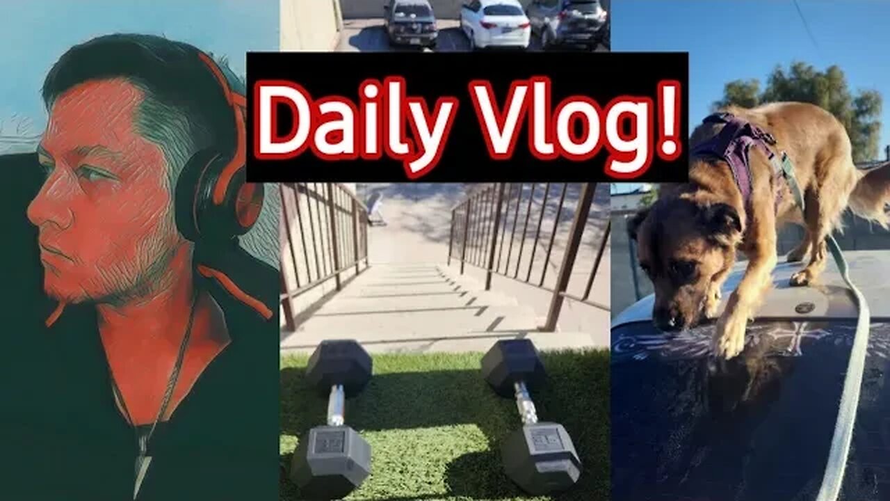 Daily Vlog, Workouts + The Dog's Tried Chicken Liver