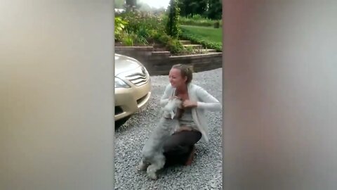 Animals Reunited With Owners After Years