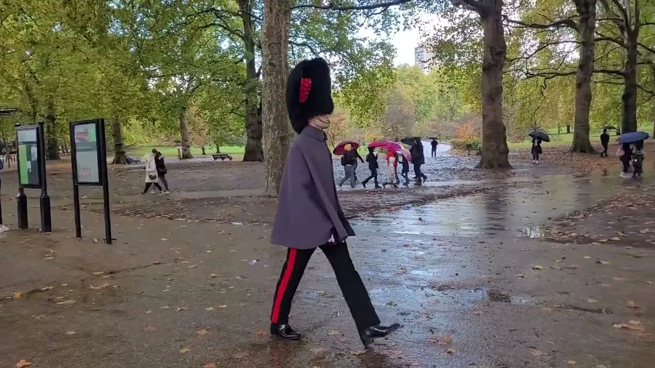 The kings Guard walking through green Park #buckinghampalace