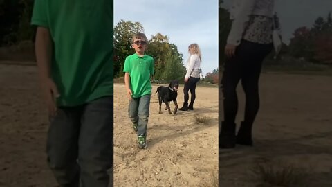 Kids at the dog park