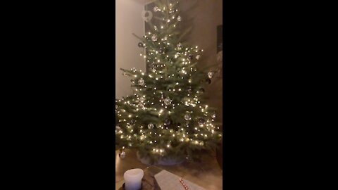 Christmas tree 2