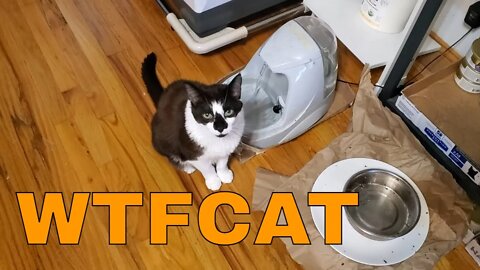 Someone is lying to me.