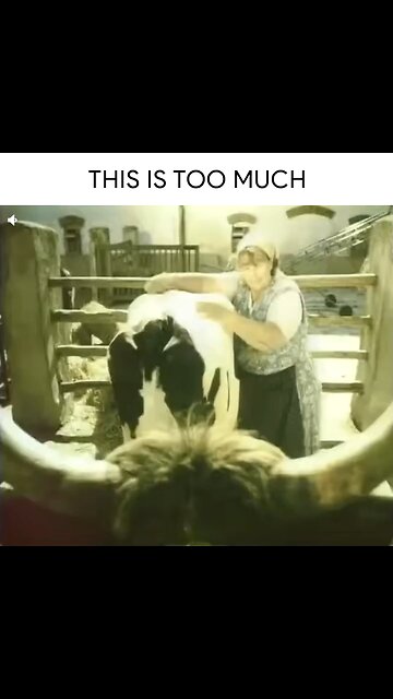 This is Too Much #funnyshortvideo #memes #funnymemes #viralshortvideo