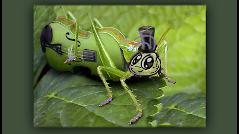 The Little Cricket's Song