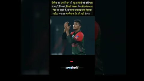 intresting facts about Cricket 🏏 #loreshorts #shorts