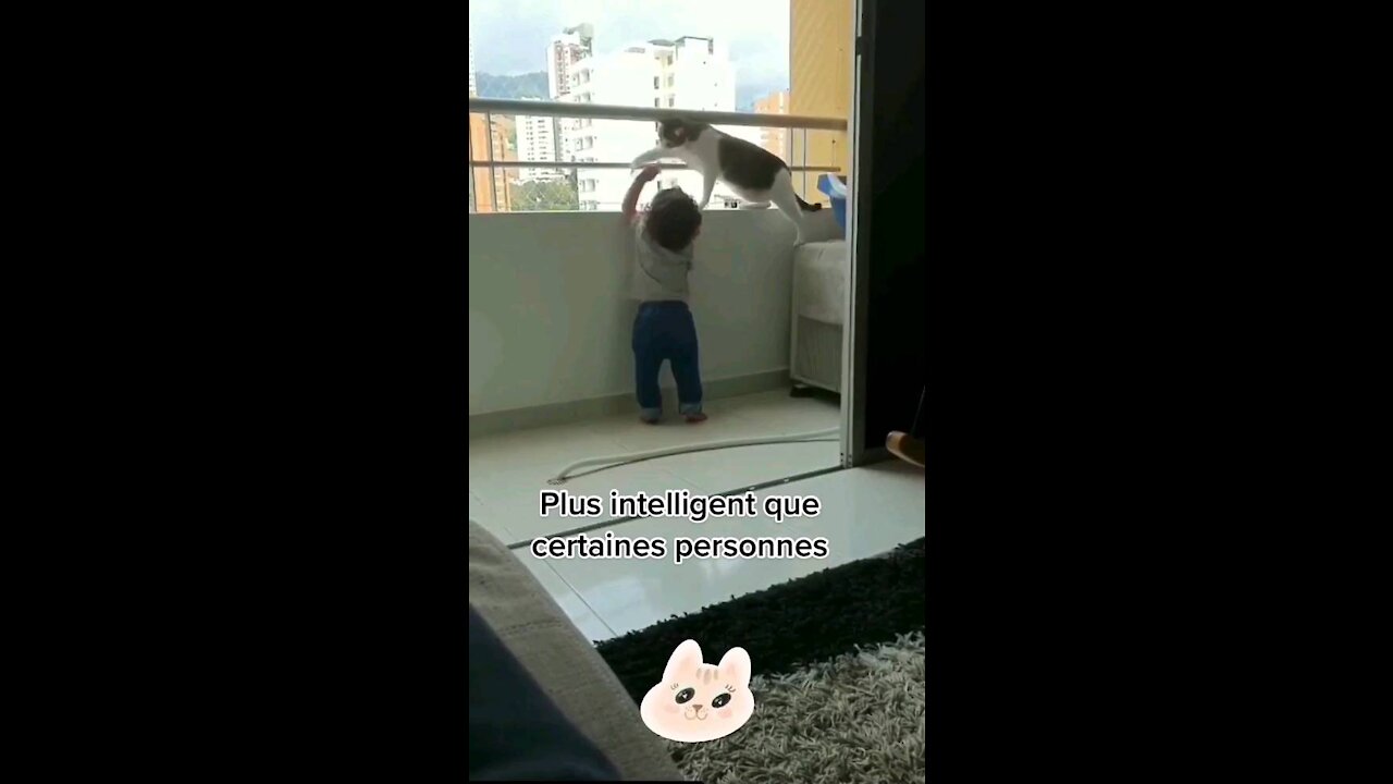 Cat Save The Baby 😭😭❤️