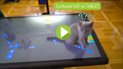 Extremely Confused CAT vs TABLET