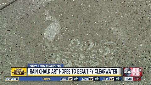 Rain chalk art hopes to beautify Clearwater neighborhoods