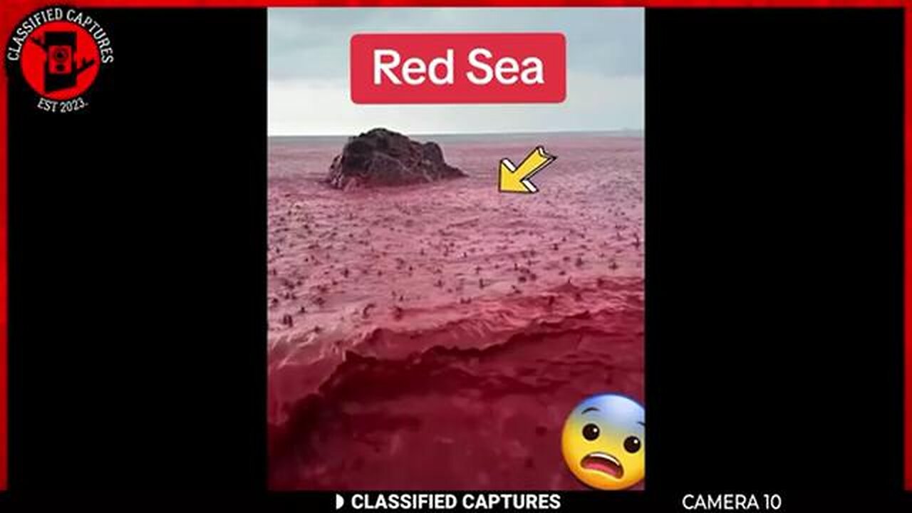 MOST Disturbing Moments Ever Caught On Camera